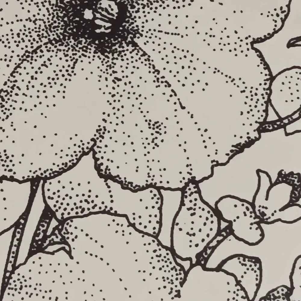 Journal Hummingbird & Flowers On Cover Cream & Black Hardcover 9
